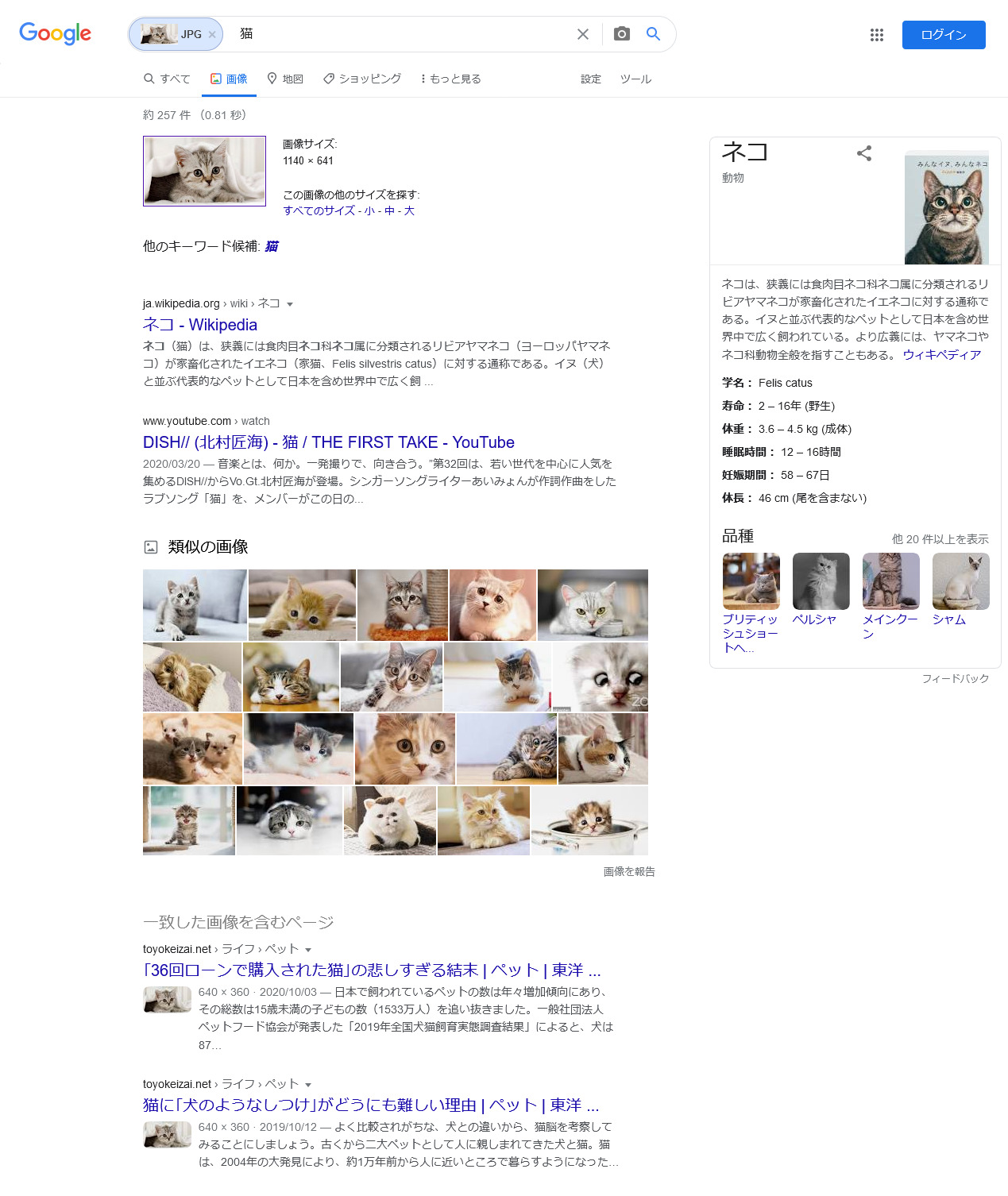 画像検索とは 上位表示するためのseo対策について デジ研