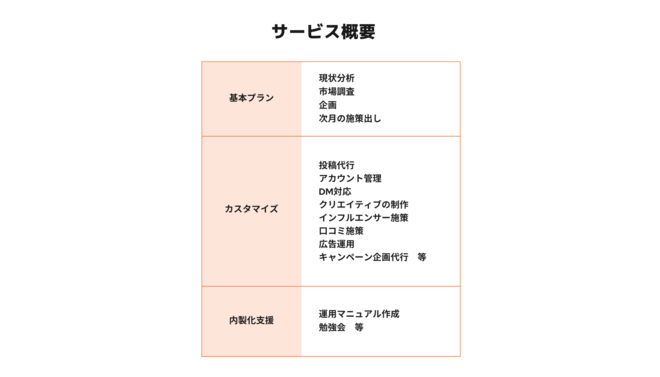 ディーエムソリューションズSNS運用代行サービス概要