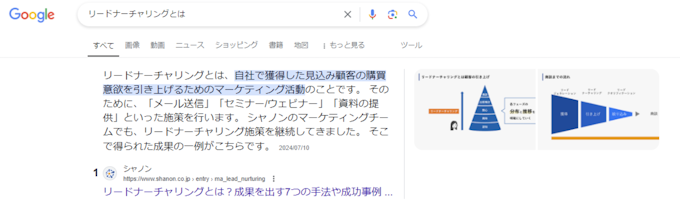 「〇〇とは？」系の強調スニペット②